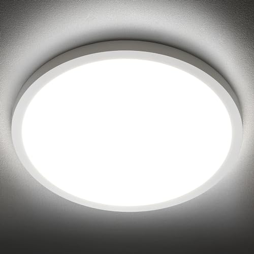LED Ceiling Light Fixture
