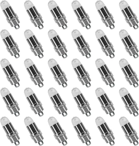 LED Lights for Paper Lanterns