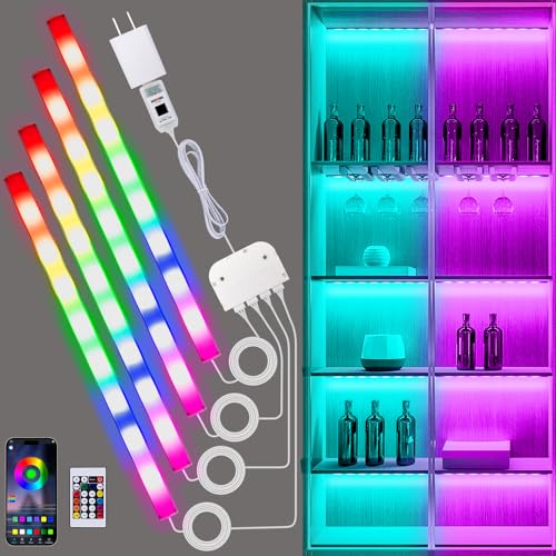 Ambient LED Lighting Kit