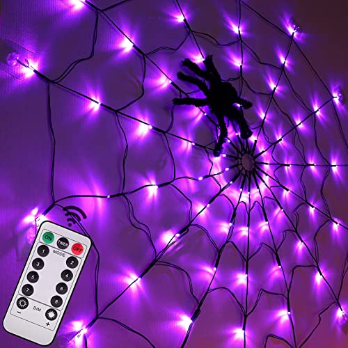 LED Spider Web Lights