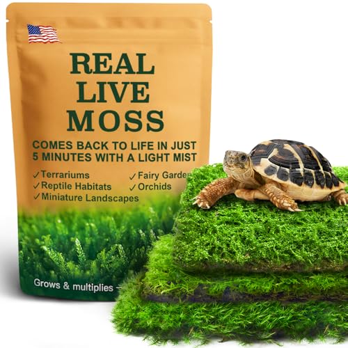 Variety Pack of Live Moss