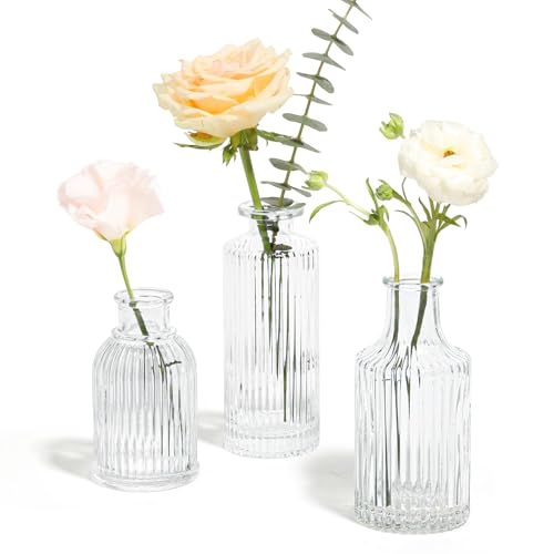Medium Height Glass Vase Set
