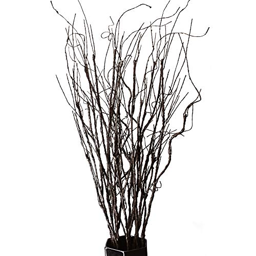 Minimalist Decorative Branches