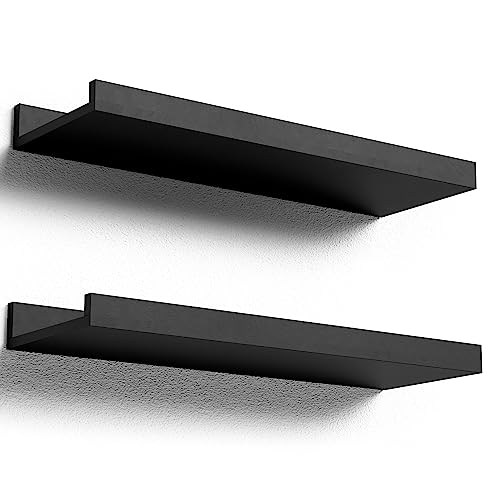 Sleek Wallmount Shelves