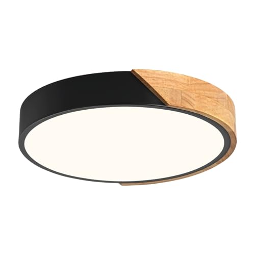 Modern Minimalist Light Fixture