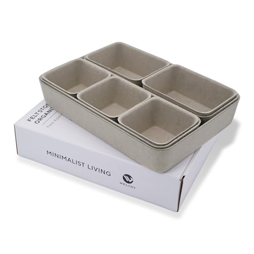 Minimalist Multi-Sectional Tray