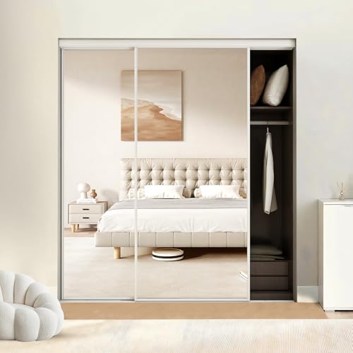 Mirrored Sliding Closet Doors