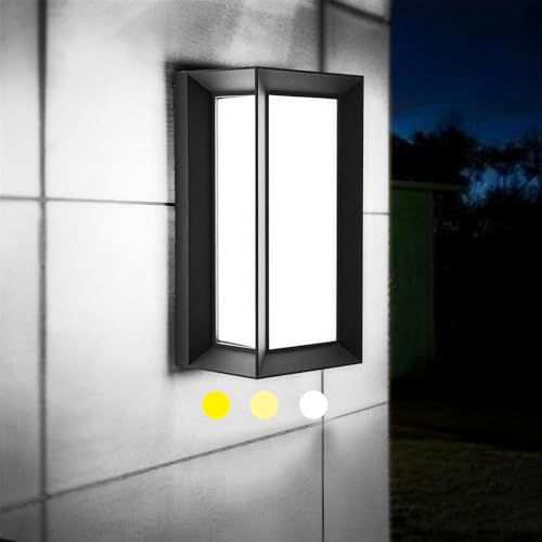 Exterior LED Wall Sconce