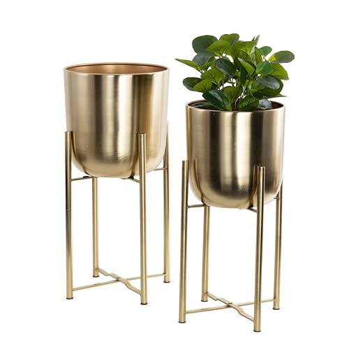 Assorted Modern Interior Planters