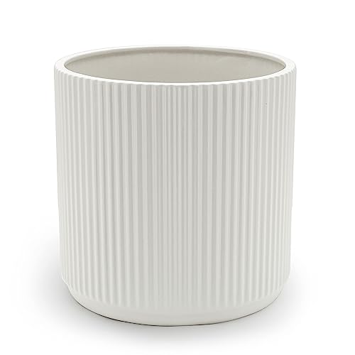 Modern Plant Pot