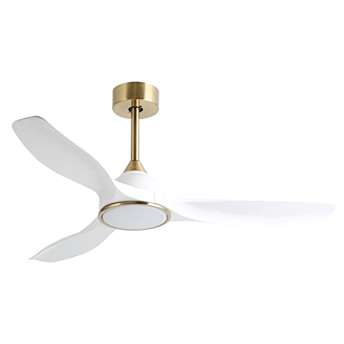 Modern Remote Control Ceiling Fan