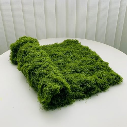 Lichen Mat for Gardening