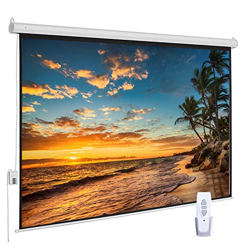 Motorized Projector Screen