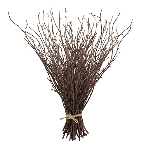Natural Birch Branches