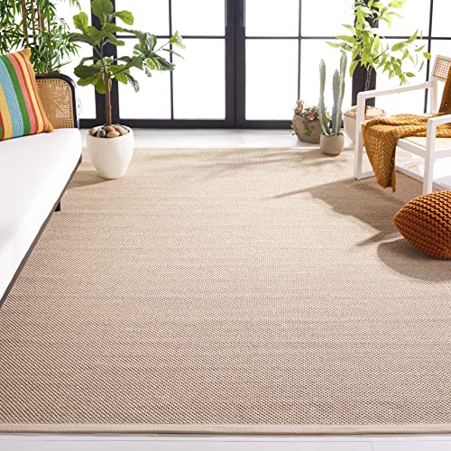 Natural Fiber Rug