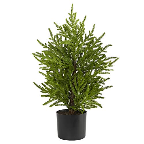 Authentic Fir Christmas Tree