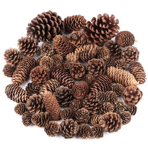 Innate Cones for Crafts