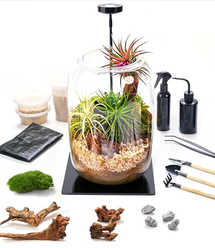 Modern Plant Terrarium Kit