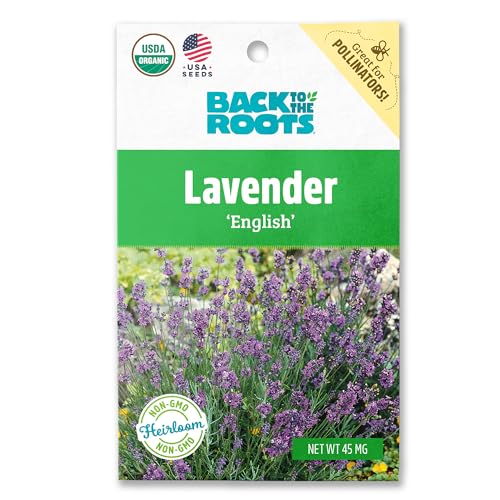Pure Lavender Seeds