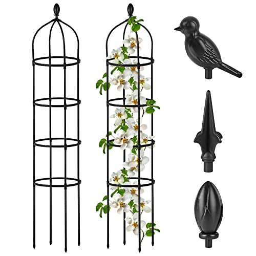 Outdoor Climbing Plant Trellis