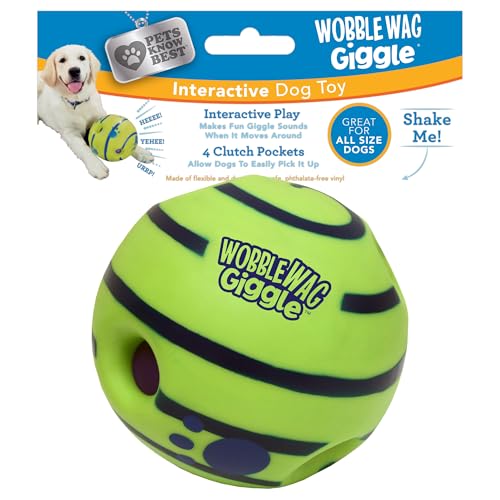 Interactive Pet Toys