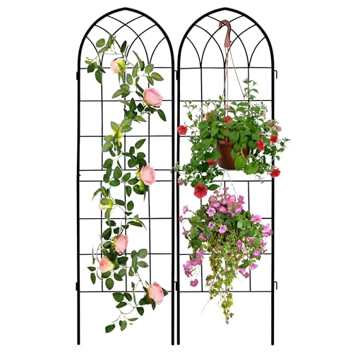 Outdoor Plant Climbing Trellis