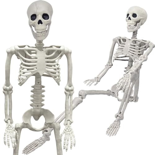 Skeleton Decor Props