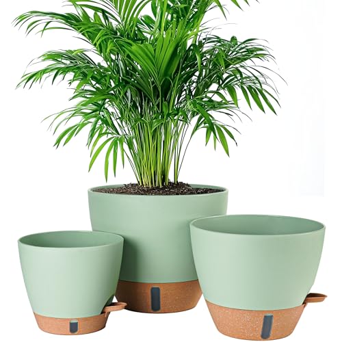 Palm Tree Planters