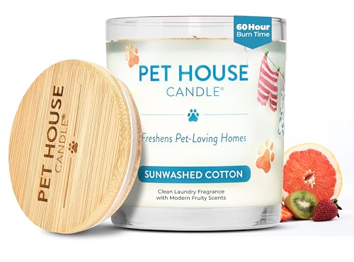 Pet-Safe Soy Candle