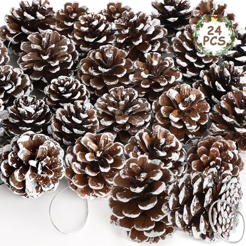 Natural Pinecone Decorations
