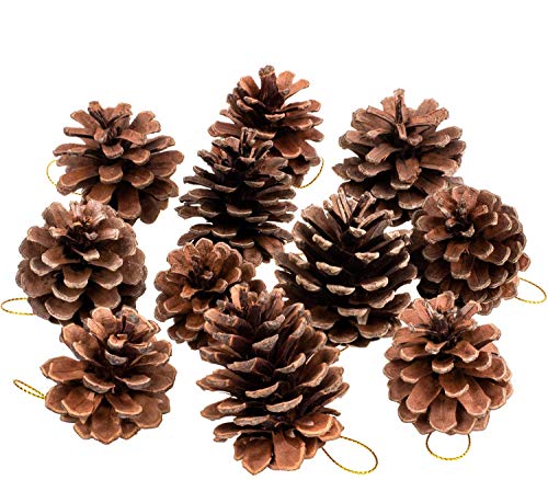 Pinecone Accents