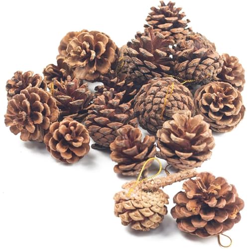 Pinecone Decorations