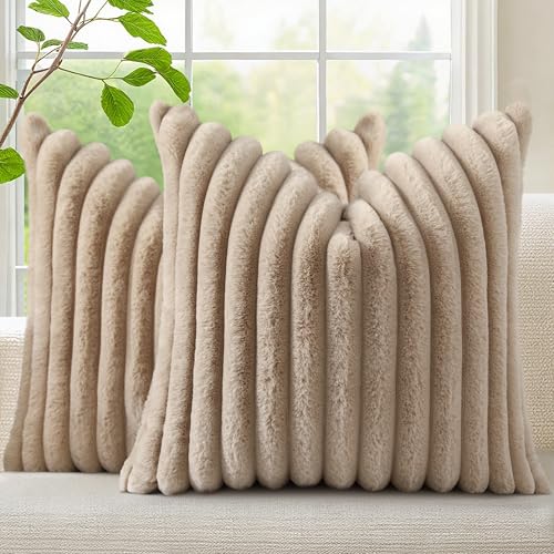 Plush Accent Pillows