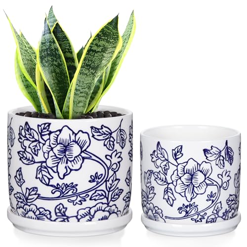 Porcelain Planter with Saucer