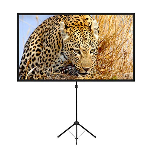 Portable Projection Screen
