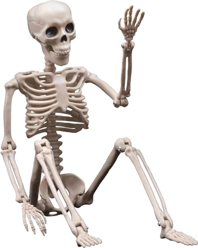 Life-Size Posable Skeleton