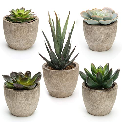 Potted Artificial Succulent Set