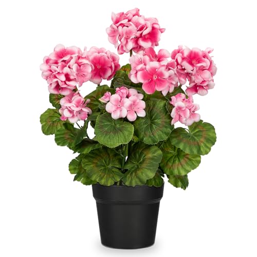 Potted Flower Arrangement