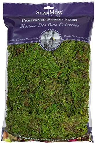 Preserved Moss Decorative Pack