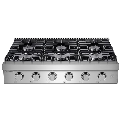 Professional Gas Range