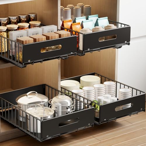 Pull-out Storage Bins