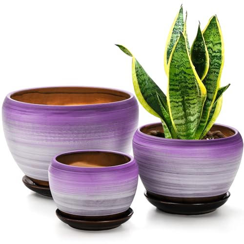 Violet Flower Pots