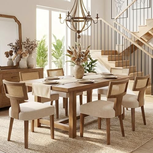 Rattan Dining Chairs Set
