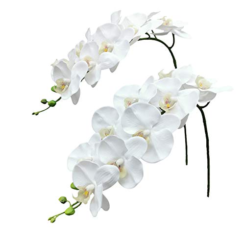 Real Touch Artificial Orchids