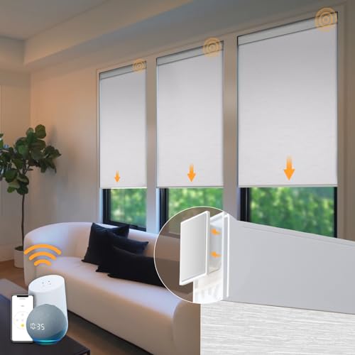 Smart Remote Blinds