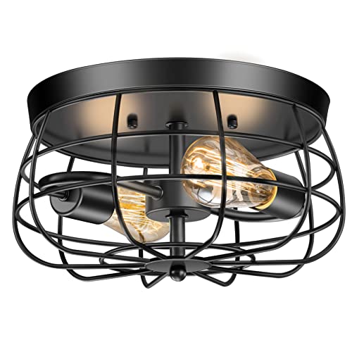 Country Style Mesh Ceiling Illumination