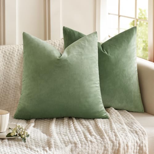 Sage Green Velvet Throw Pillows