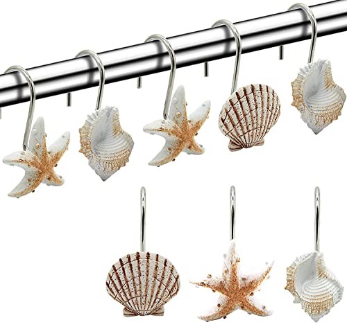 Seashell Decor Set