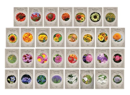 Seasonal Flower Variety Pack