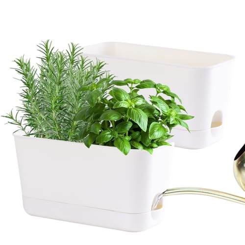 Self-watering Planters